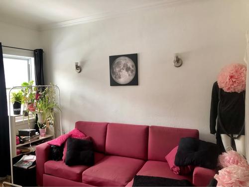 Studio à louer à Montreal - Le Plateau-Mont-Royal — photo 3