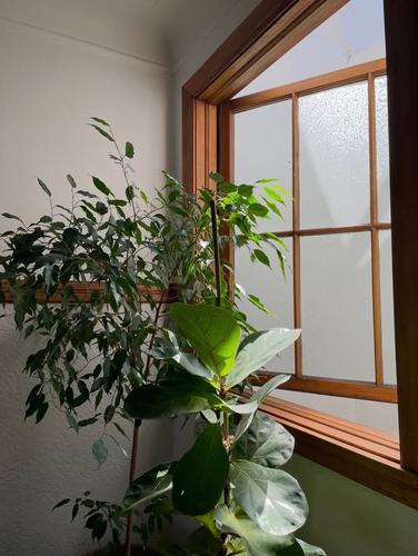 1 bedroom apartment for rent in Montreal - Le Sud-Ouest — photo 9