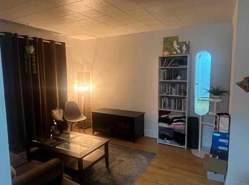 Appartement de 1 chambre à louer à Gatineau — photo 5