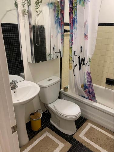 1 bedroom apartment for rent in Montreal - Le Plateau-Mont-Royal — photo 4