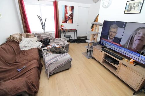 2 bedrooms apartment for rent in Lévis — photo 2