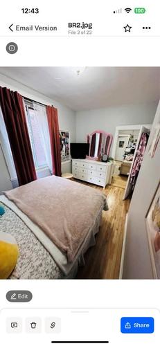 Appartement de 1 chambre à louer à Montreal - Le Plateau-Mont-Royal — photo 3