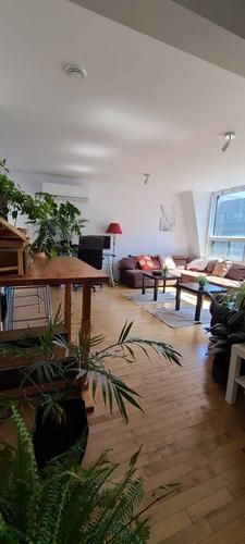 Studio à louer à Montreal - Le Plateau-Mont-Royal — photo 5