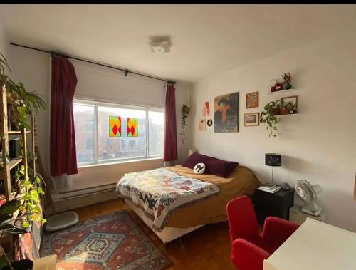 1 bedroom apartment for rent in Montreal - Le Plateau-Mont-Royal — photo 3