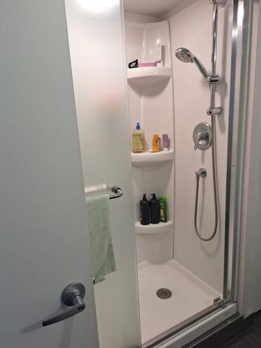 1 bedroom apartment for rent in Montreal - Le Plateau-Mont-Royal — photo 2