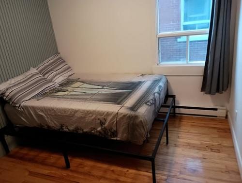 Appartement de 2 chambres à louer à Québec - La Cité-Limoilou — photo 7