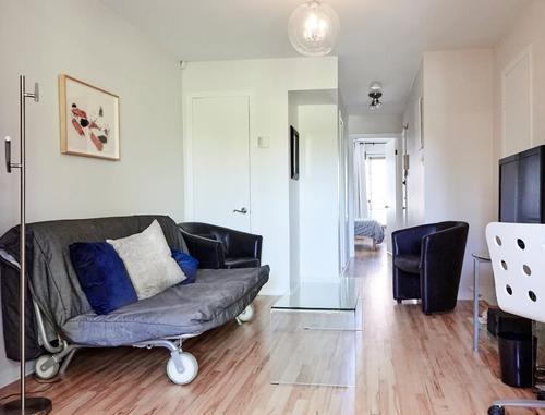 1 bedroom apartment for rent in Montreal - Rosemont–La Petite-Patrie — photo 7
