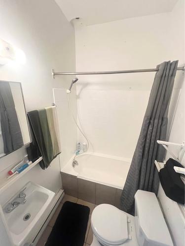 1 bedroom apartment for rent in Montreal - Le Plateau-Mont-Royal — photo 5
