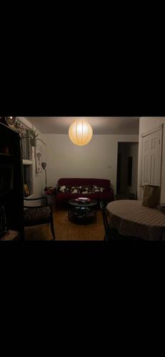 2 bedrooms apartment for rent in Montreal - Le Plateau-Mont-Royal — photo 5