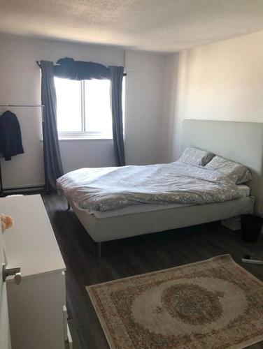 1 bedroom apartment for rent in Montreal - Le Plateau-Mont-Royal — photo 3