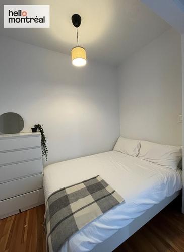 4 bedrooms apartment for rent in Montreal - Le Plateau-Mont-Royal — photo 8