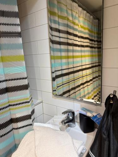 Studio for rent in Montreal - Le Plateau-Mont-Royal — photo 9