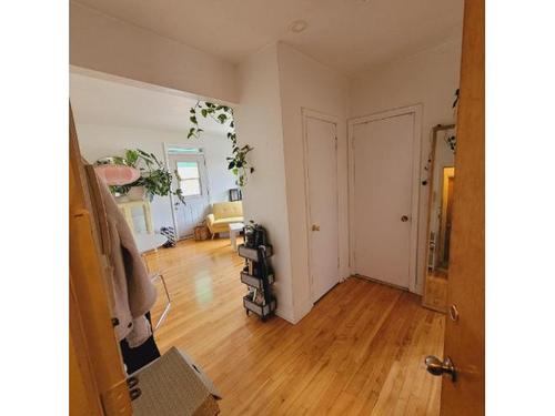 Appartement de 1 chambre à louer à Longueuil — photo 4