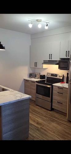 2 bedrooms apartment for rent in Gatineau — photo 2