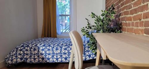 1 bedroom apartment for rent in Montreal - Le Plateau-Mont-Royal — photo 8