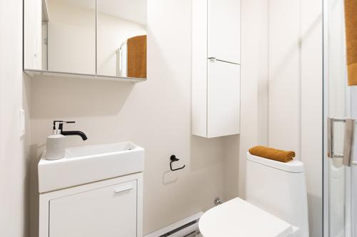 5 bedrooms apartment for rent in Montreal - Le Plateau-Mont-Royal — photo 28