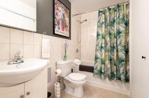 Appartement de 1 chambre à louer à Montreal - Rosemont–La Petite-Patrie — photo 10