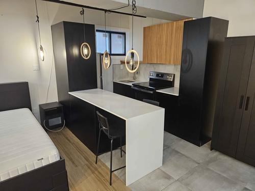 Studio for rent in Laval — photo 3