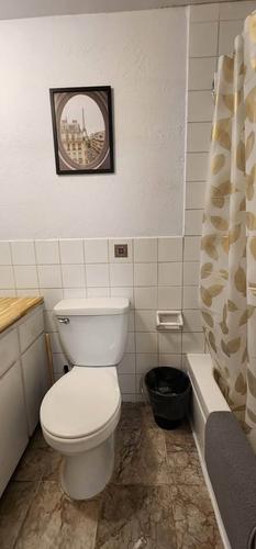 2 bedrooms apartment for rent in Montreal - Rosemont–La Petite-Patrie — photo 6