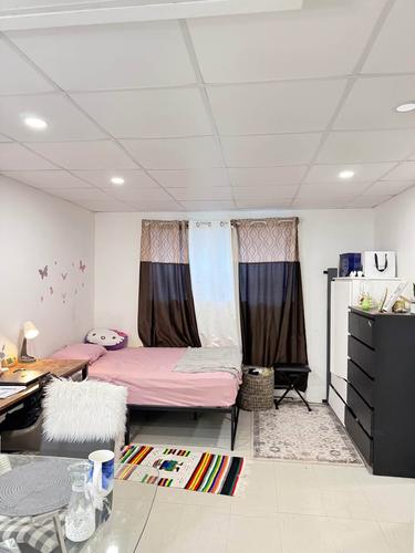 Studio à louer à Québec - Sainte-Foy–Sillery–Cap-Rouge — photo 2