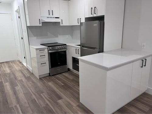 1 bedroom apartment for rent in Montreal - Villeray–Saint-Michel–Parc-Extension — photo 3