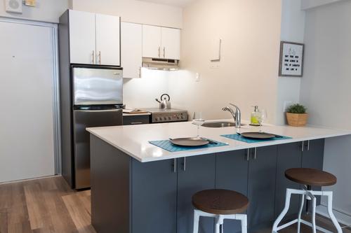 1 bedroom apartment for rent in Montreal - Le Plateau-Mont-Royal — photo 2