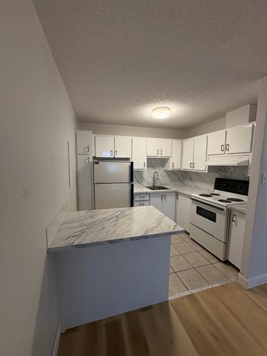 Appartement de 2 chambres à louer à Laval — photo 3