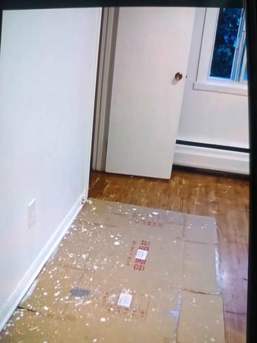 2 bedrooms apartment for rent in Montreal - Côte-des-Neiges–Notre-Dame-de-Grâce — photo 3