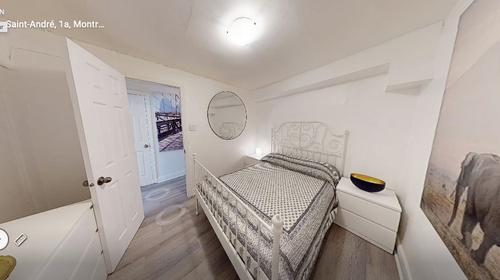 1 bedroom apartment for rent in Montreal - Le Plateau-Mont-Royal — photo 5