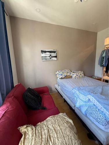 1 bedroom apartment for rent in Montreal - Villeray–Saint-Michel–Parc-Extension — photo 8