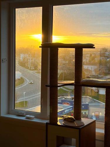 Appartement de 2 chambres à louer à Québec - Les Rivières — photo 11