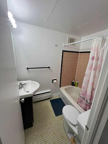 3 bedrooms apartment for rent in Montreal - Le Plateau-Mont-Royal — photo 13