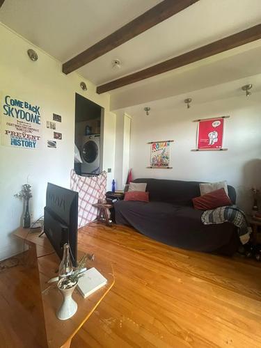 1 bedroom apartment for rent in Montreal - Le Plateau-Mont-Royal — photo 2