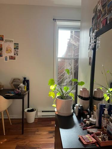 5 bedrooms apartment for rent in Montréal — photo 6