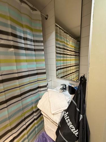 Studio for rent in Montreal - Le Plateau-Mont-Royal — photo 8