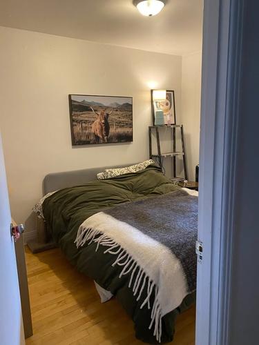 1 bedroom apartment for rent in Montreal - Rosemont–La Petite-Patrie — photo 5