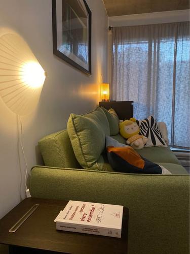 1 bedroom apartment for rent in Montreal - Ville-Marie — photo 9
