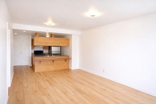 Appartement de 1 chambre à louer à Montreal - Saint-Laurent — photo 6