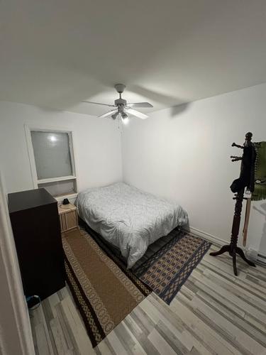1 bedroom apartment for rent in Lévis — photo 4