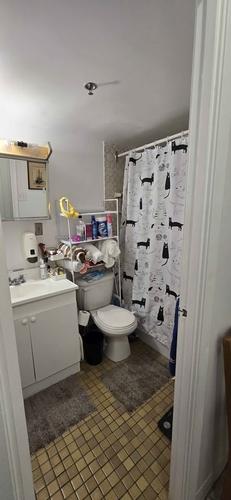 1 bedroom apartment for rent in Montreal - Rosemont–La Petite-Patrie — photo 15