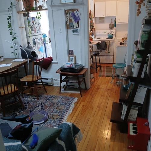 Appartement de 1 chambre à louer à Montreal - Rosemont–La Petite-Patrie — photo 3