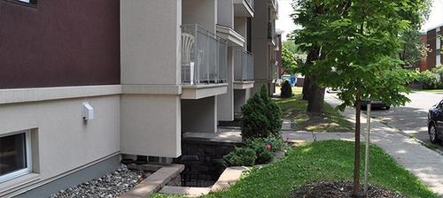 1 bedroom apartment for rent in Québec - La Cité-Limoilou — photo 13