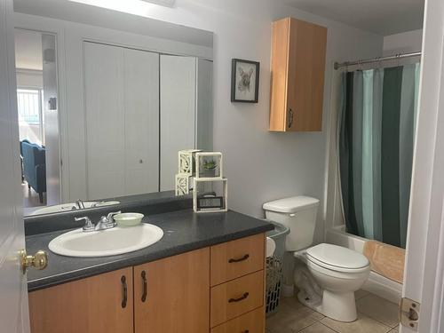 Appartement de 1 chambre à louer à Gatineau — photo 3