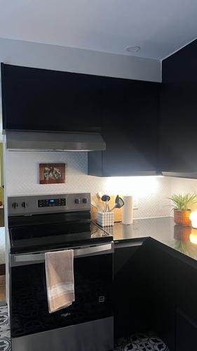 2 bedrooms apartment for rent in Montreal - Le Plateau-Mont-Royal — photo 8