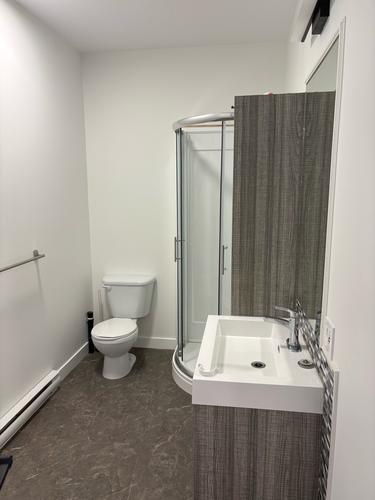 Appartement de 2 chambres à louer à Lévis — photo 6