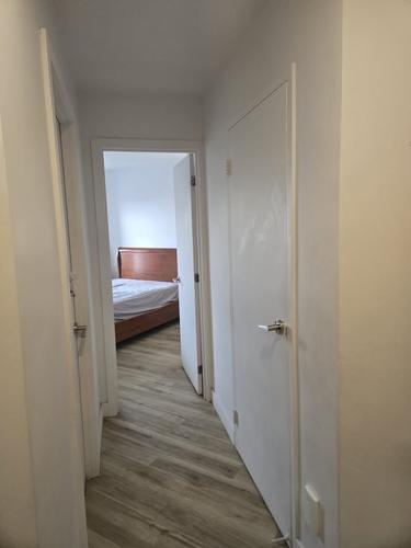 Appartement de 2 chambres à louer à Lévis — photo 11