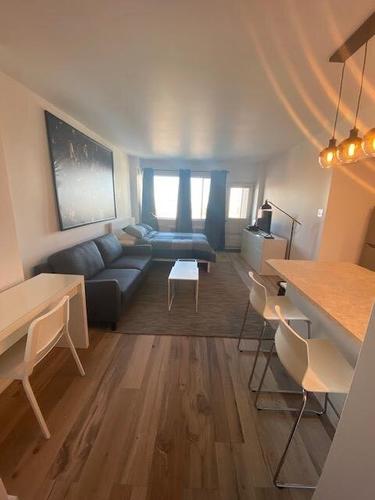 Studio à louer à Montreal - Le Plateau-Mont-Royal — photo 11