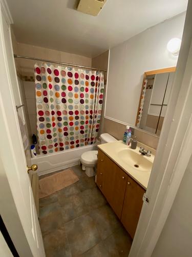 2 bedrooms apartment for rent in Montreal - Le Plateau-Mont-Royal — photo 10