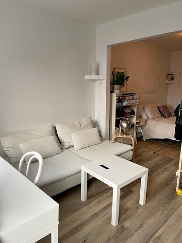 Appartement de 1 chambre à louer à Montreal - Le Plateau-Mont-Royal — photo 4