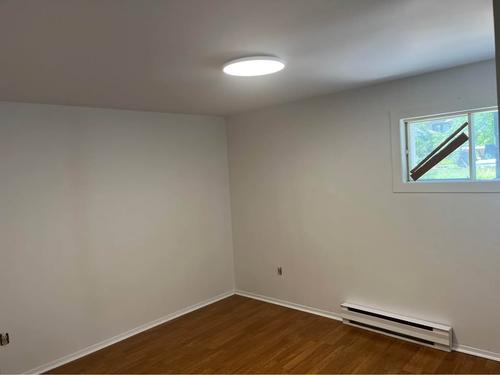 Appartement de 1 chambre à louer à Montreal - Rivière-des-Prairies–Pointe-aux-Trembles — photo 3